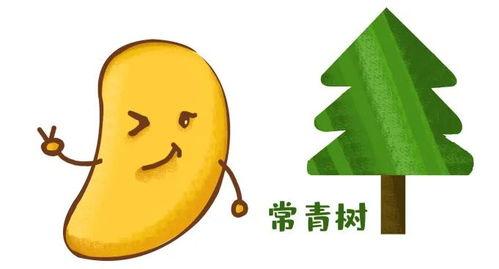 欧美圈吃瓜,揭秘明星们的“吃瓜”大作战
