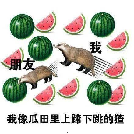 top.5吃瓜,五大热门吃瓜事件深度解析