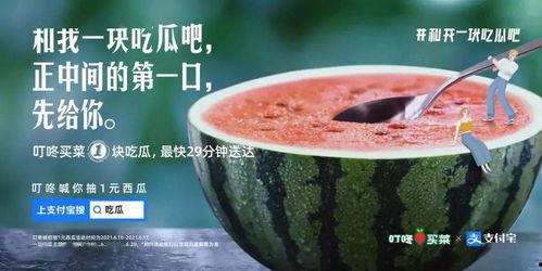 镇江吃瓜新闻视频,一地瓜农意外走红