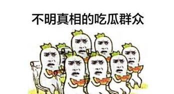 看热闹吃瓜,一场看热闹吃瓜的盛宴