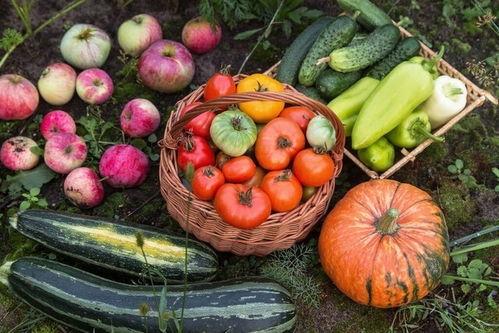 吃瓜十八第5集,揭秘神秘事件，悬念迭起引观众热议