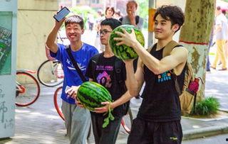 最新高校吃瓜,揭秘校园里的最新“吃瓜”事件