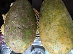 小小灰吃瓜,揭秘娱乐圈那些不为人知的幕后故事