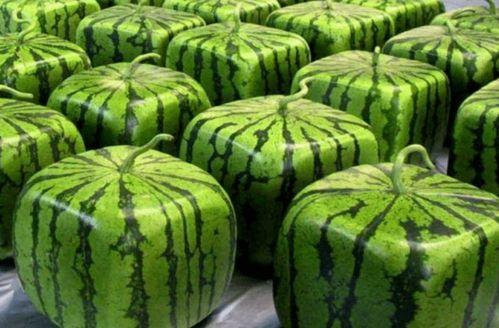 最全吃瓜集合地,一网打尽娱乐圈热点事件