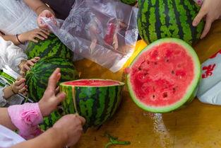 湖北襄阳吃瓜视频,一场视觉与味蕾的双重盛宴