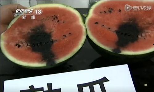 湖北襄阳吃瓜视频,一场视觉与味蕾的双重盛宴