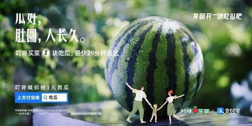 啵啵娱乐吃瓜,揭秘娱乐圈最新吃瓜事件