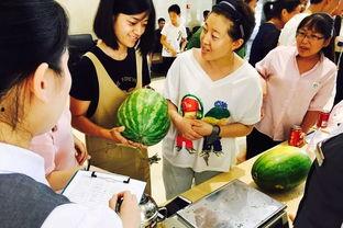 吃瓜群众0018,网络红人的崛起之路