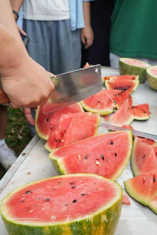 吃自己同学的瓜,揭秘同学间的那些秘密