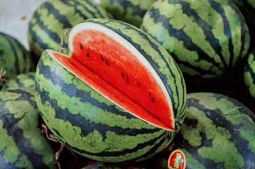 吃瓜的正确手册