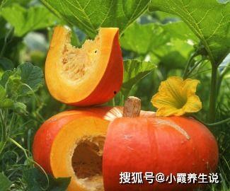 长寿瓜怎么吃降血压,家常降压食谱大公开