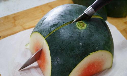 掌瓜会吃手吗,揭秘它们是否吃手之谜