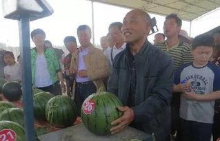 吃瓜群众挂旗子视频,展现爱国情怀与创意无限