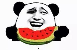 吃小白瓜发烧,小白瓜助力退烧养生之旅