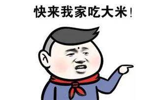 带你吃瓜是如何吃胖的,带你揭秘吃瓜背后的健康隐患