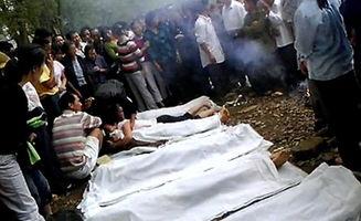 邵阳事件吃瓜视频,吃瓜群众视角下的真相揭秘