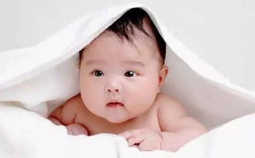 婴儿胶瓜怎么吃,婴儿胶瓜的多样食用方法与营养解析