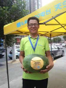 郑州中牟吃瓜群众视频,一场全民围观的热闹现场