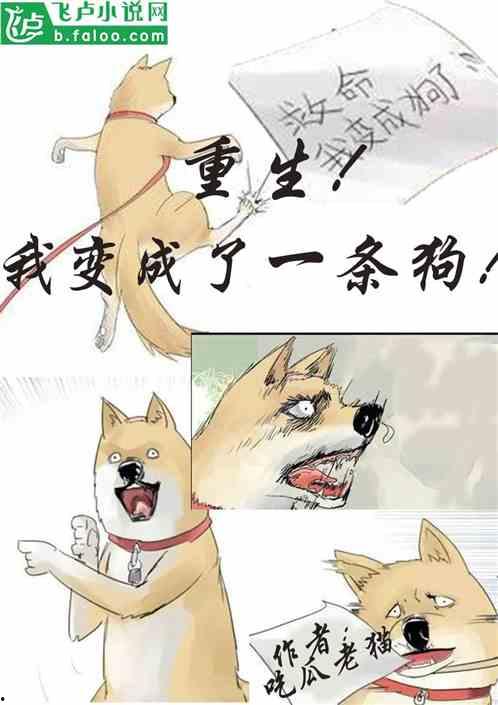 许愿吃瓜小说全文阅读,穿越古代的甜蜜复仇之旅