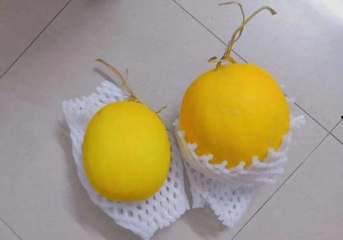 捏烂吃瓜,捏烂吃瓜，揭秘明星幕后故事