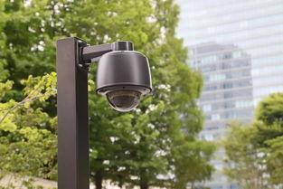 吃瓜监控视屏,一窥网络直播背后的秘密