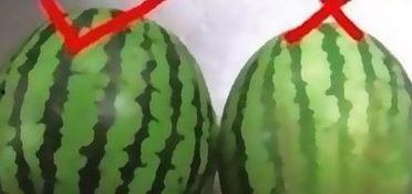 吃瓜的小窍门大全,掌握小窍门，畅享夏日清凉时光