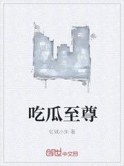 吃瓜酒店小说免费阅读,揭开神秘面纱的奇幻之旅