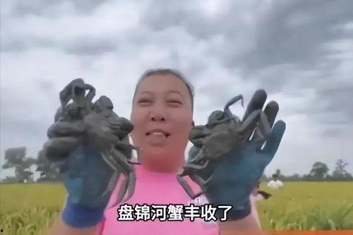 崽崽的吃瓜,娱乐圈幕后故事全解析