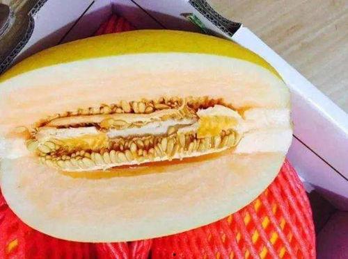 假吃西瓜哈密瓜,揭秘夏日消暑美食的趣味与智慧