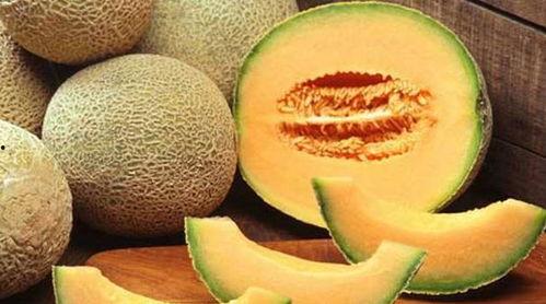 猴王吃哈密瓜,甜蜜滋味传千古