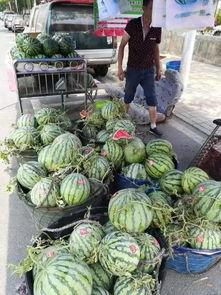 保定吃瓜事件上古大观,上古大观背后的社会现象解析