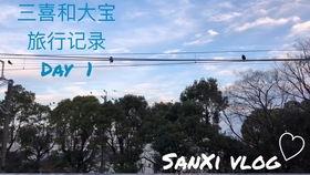 自己吃麻瓜,探寻人间烟火味