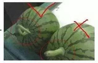 模仿吃瓜声,揭秘娱乐圈幕后风云