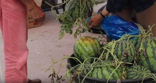 雷雨晨吃瓜,揭秘娱乐圈背后的秘密与真相