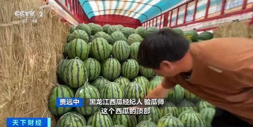 吃瓜陈坦,揭秘娱乐圈背后的真实故事