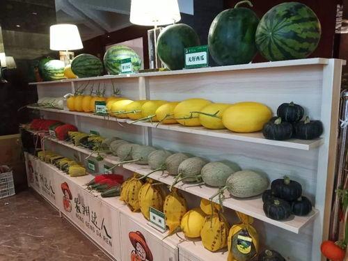 吃瓜小达人20,揭秘娱乐圈那些不为人知的幕后故事