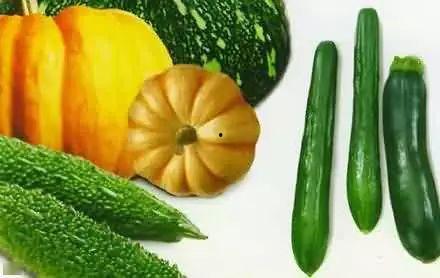 吃瓜岛主,网络红人的崛起与影响力