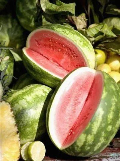 吃瓜1元视频,吃瓜界的秘密大公开