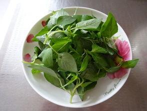 艮瓜怎么吃,解锁美味新体验