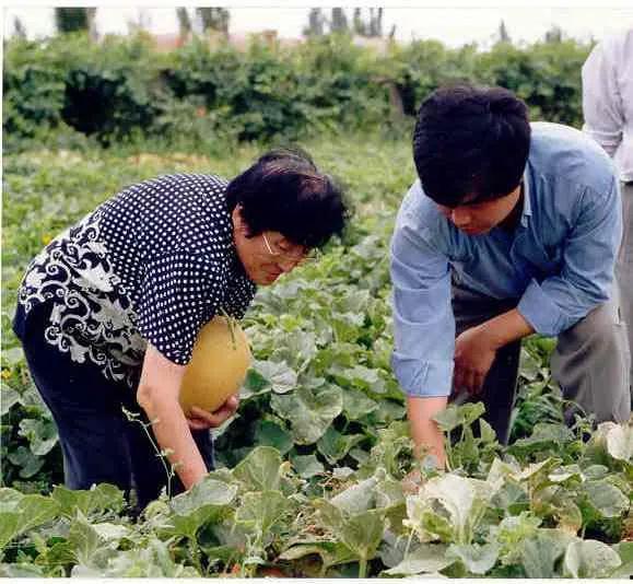 遵义科院吃瓜,揭秘校园里的“吃瓜”风云