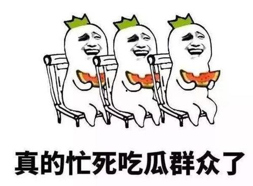 老公不在吃瓜,吃瓜群众狂欢时