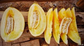 2018年的吃瓜,盘点那些年我们一起“瓜”过的瞬间