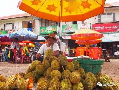 邢台免费吃瓜活动,免费吃瓜活动盛大开启，清凉一夏尽享瓜果盛宴”