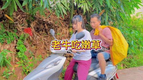老牛吃瓜视频全集,揭秘视频全集背后的惊人真相