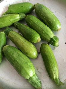 迷瓜咋吃,迷瓜的多样食用方法揭秘