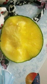 梦见吃黄瓤瓜,黄瓤瓜的神秘寓意解析