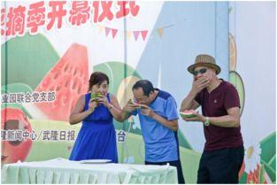 互动游戏吃瓜,趣味横生的瓜界冒险之旅