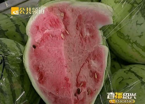 绍兴医院吃瓜,揭秘背后真相与网络舆论风暴