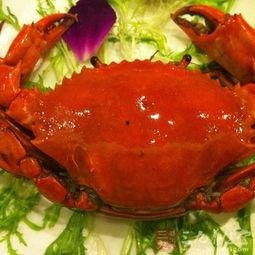 螃蟹吃高瓜吗,探究它们对高瓜的喜爱程度