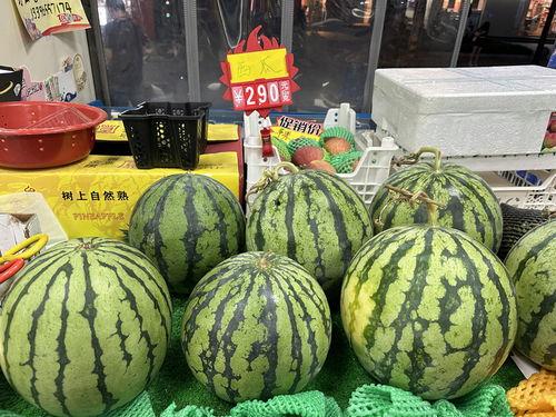 浙江育英吃瓜,吃瓜群众揭秘校园风云